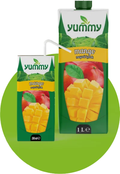 Yummy Mango Fruit Drink